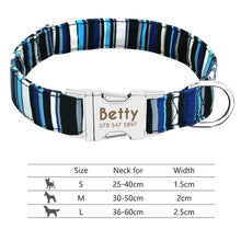 Load image into Gallery viewer, Nylon Dog Collar
