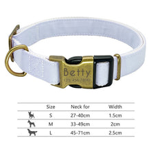 Load image into Gallery viewer, Nylon Dog Collar
